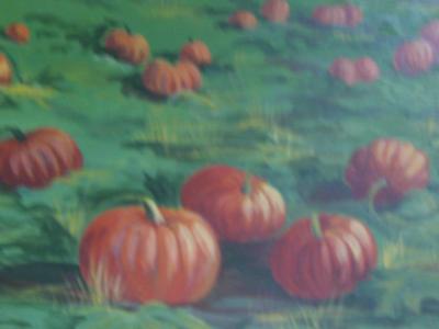 The Pumpkin farm close up
